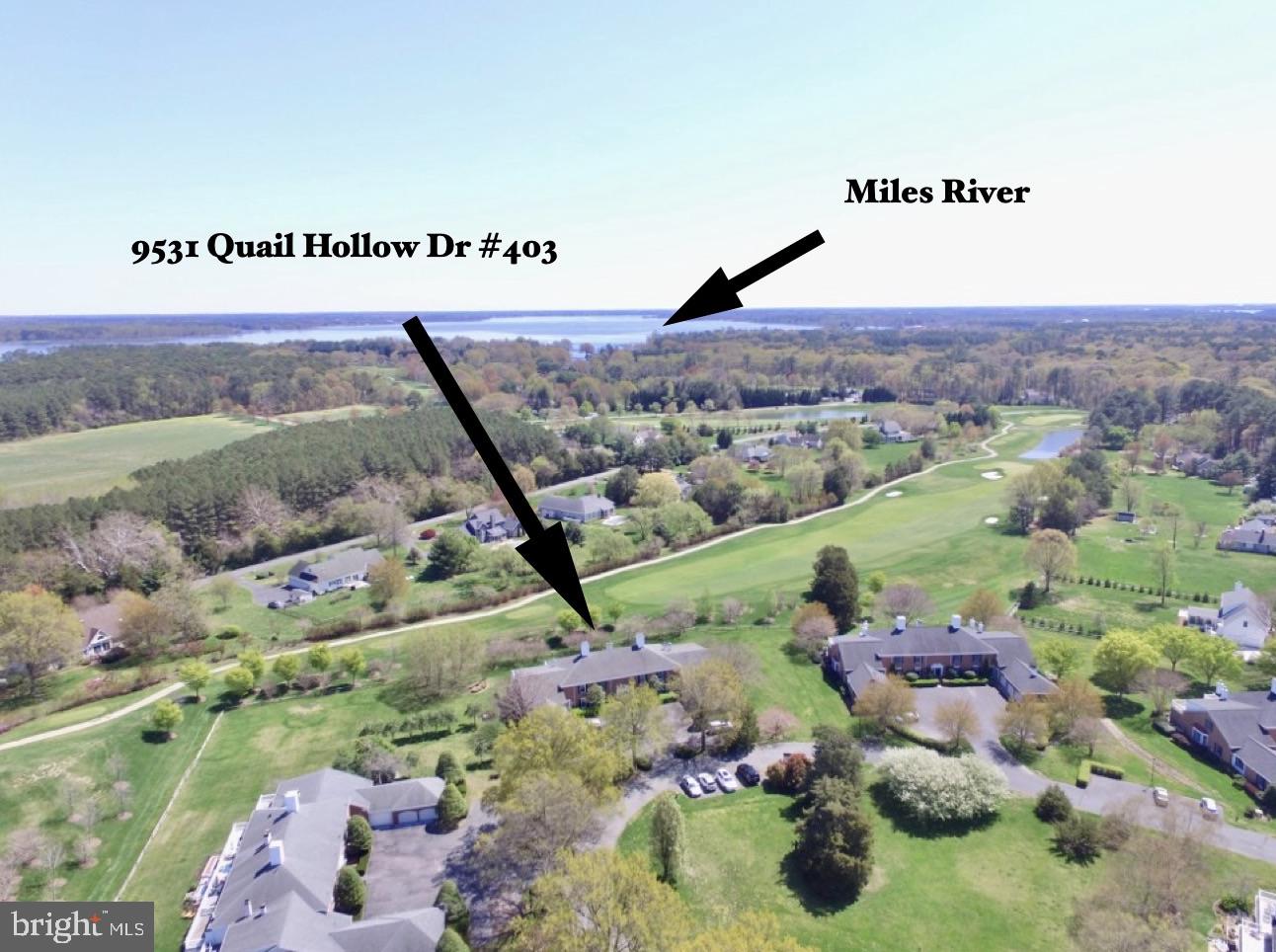 9531 Quail Hollow #403