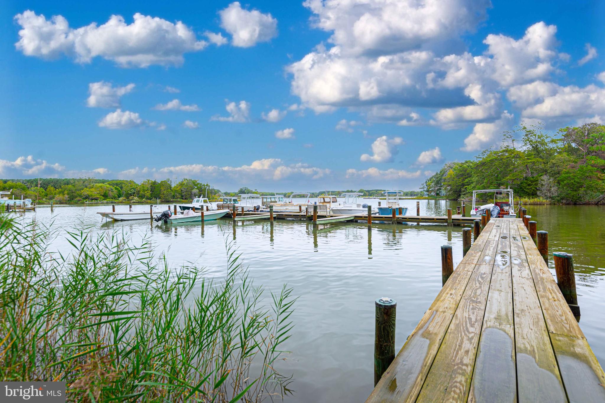 6695 Holly Woods Road