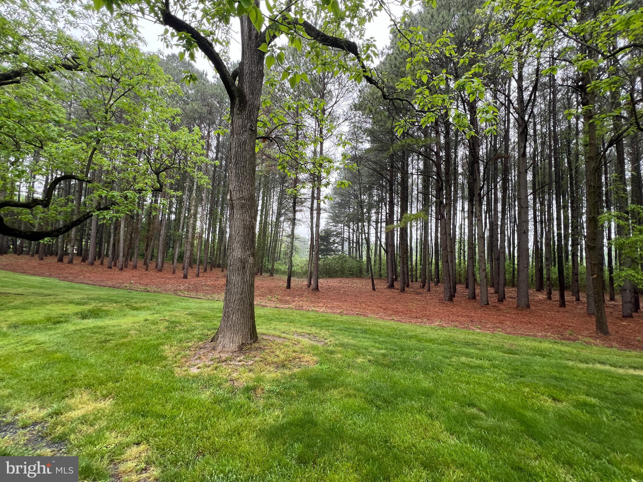 Lot A Catalpa Point Road