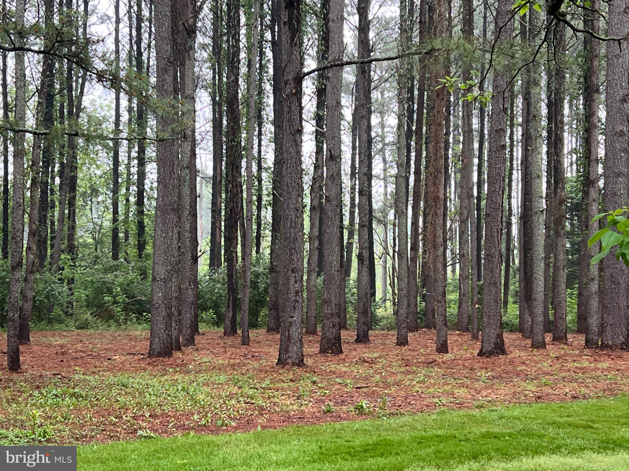 Lot B Catalpa Point Road