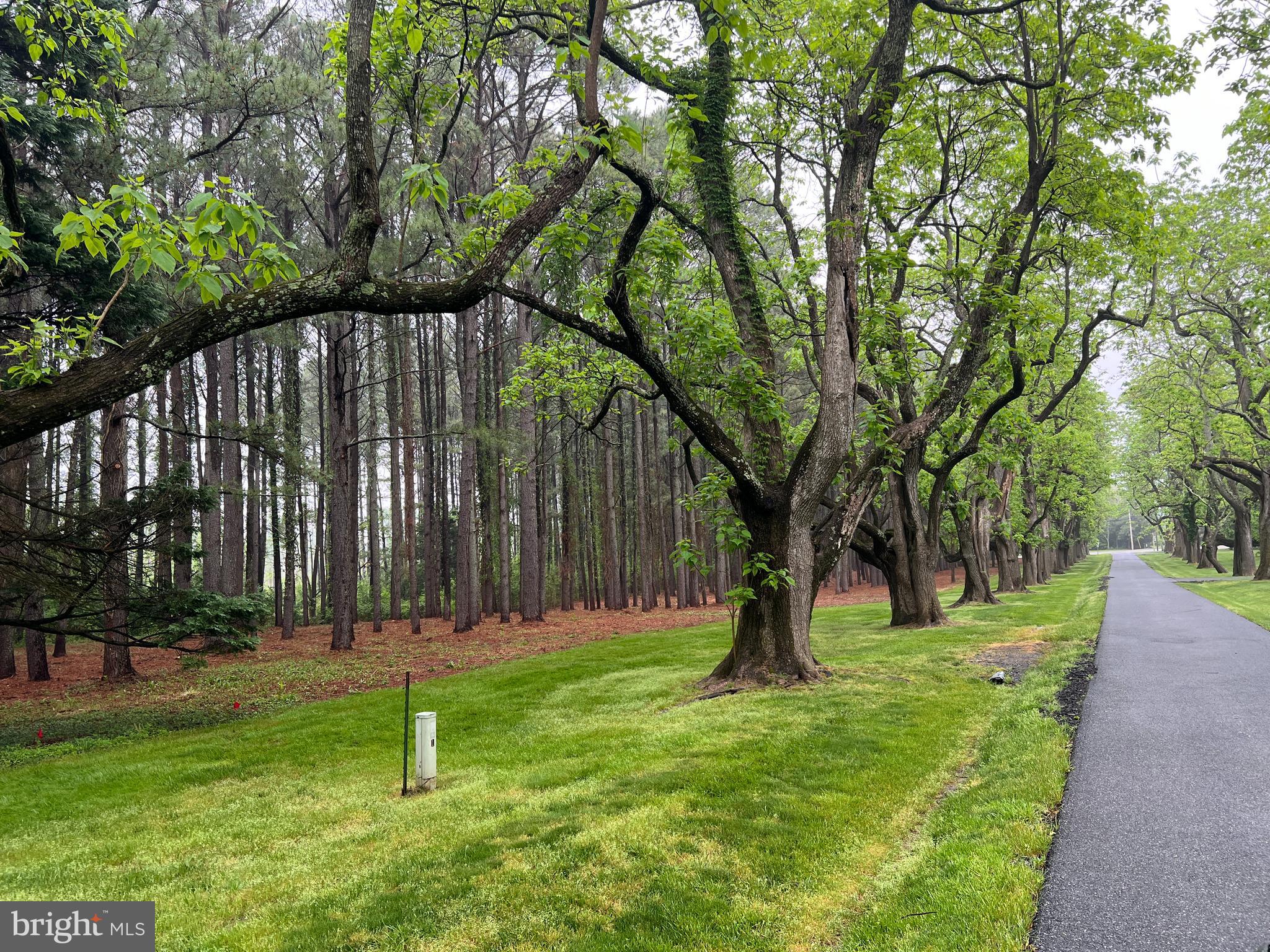 Lot B Catalpa Point Road