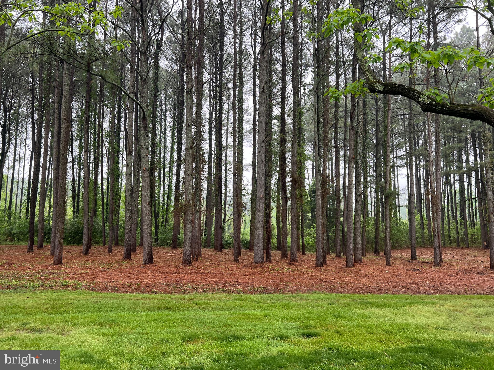 Lot B Catalpa Point Road