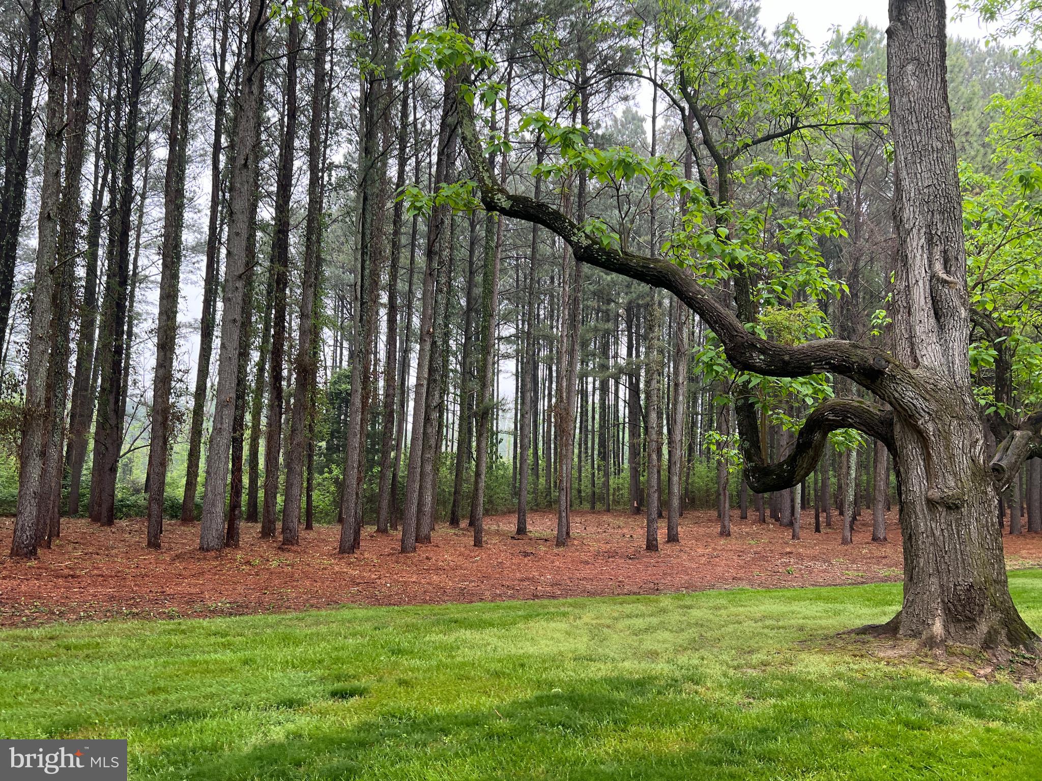 Lot B Catalpa Point Road