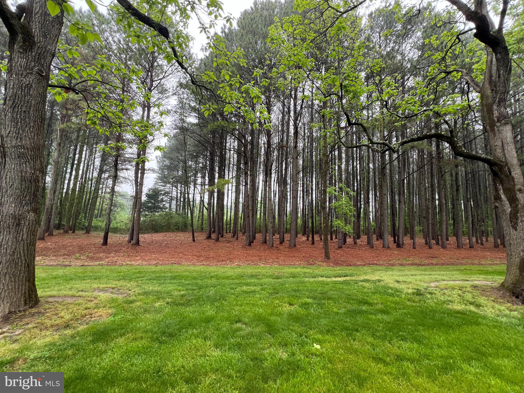 Lot B Catalpa Point Road