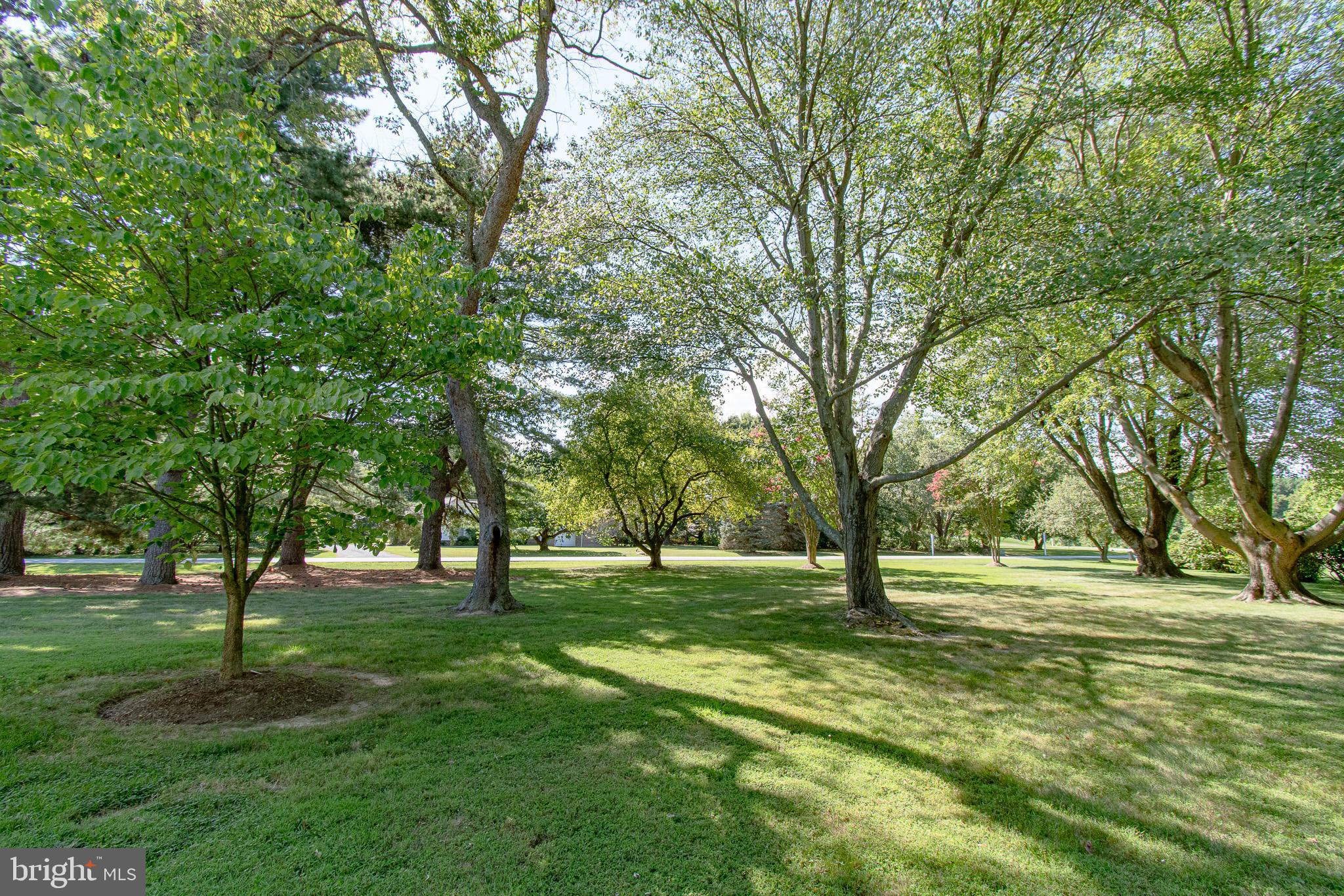 24560 Deepwater Point #1