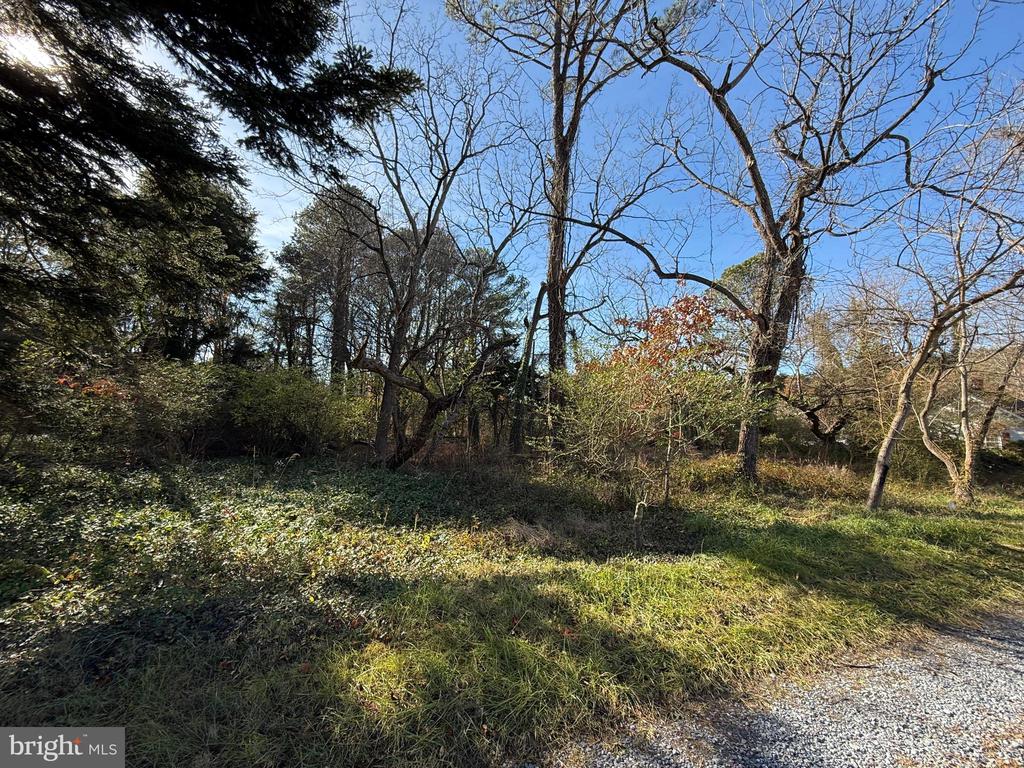 Martingdale Lane