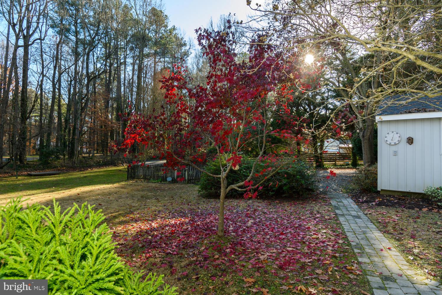 33506 Tuckahoe River Rd