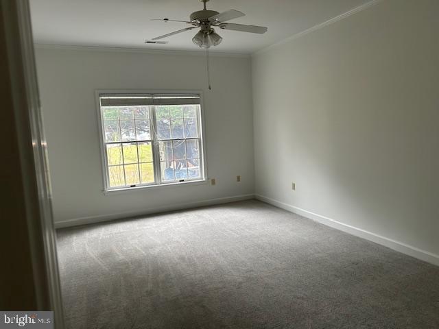 28535 Augusta Ct