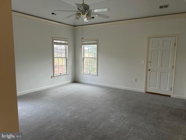 28535 Augusta Ct