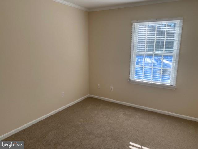 7424 TOUR DR