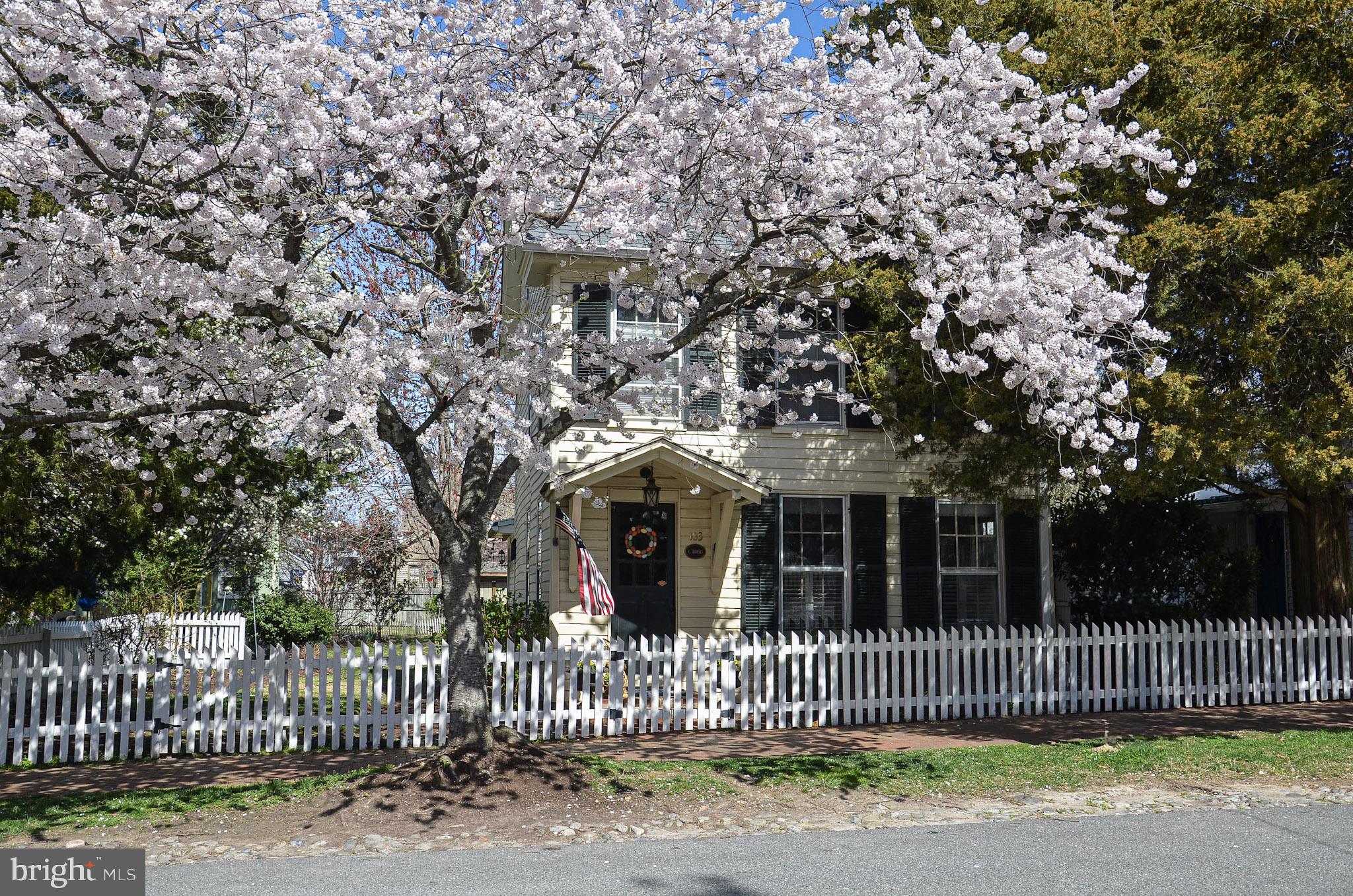 103 Mulberry St