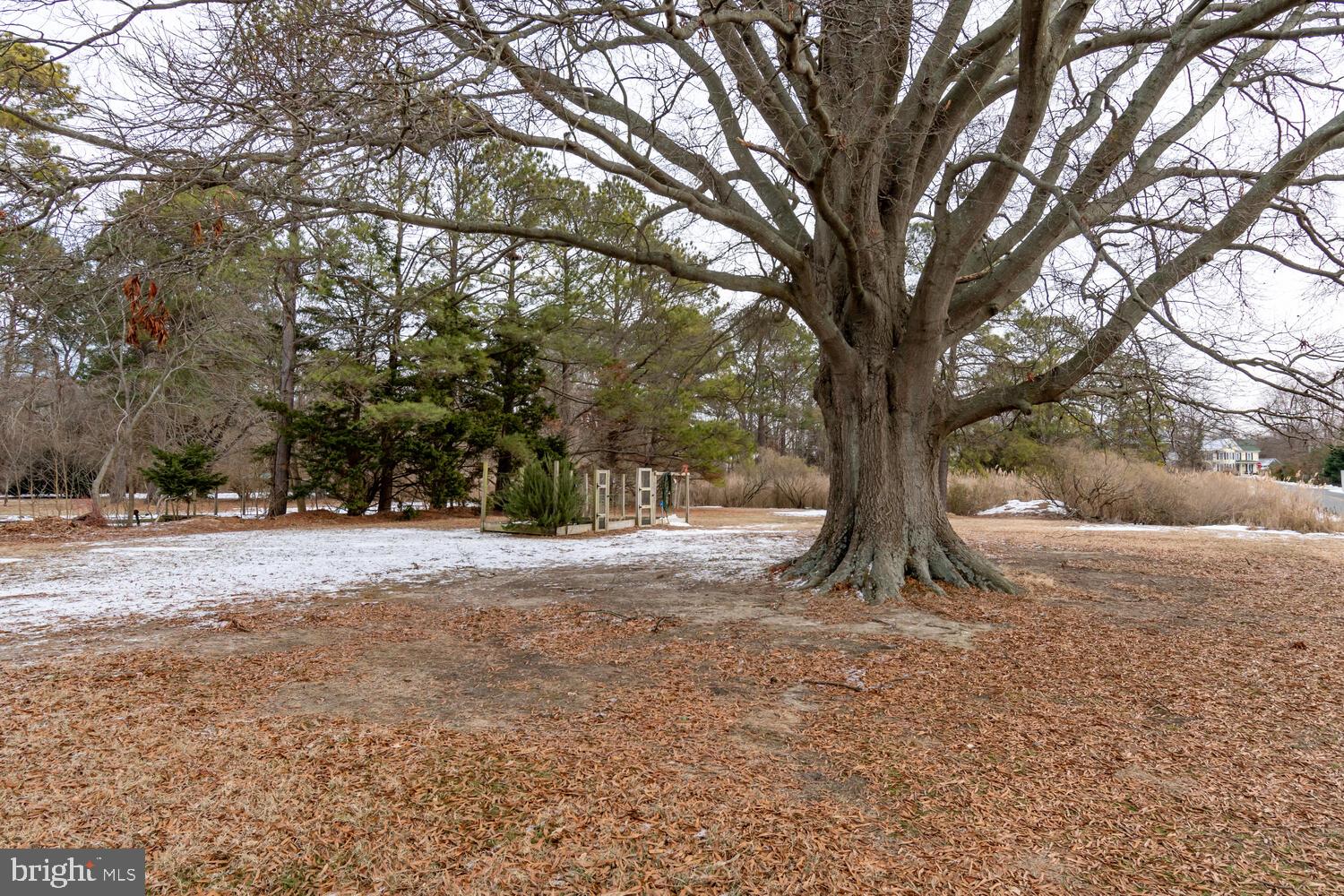 23014 Claiborne Landing Rd