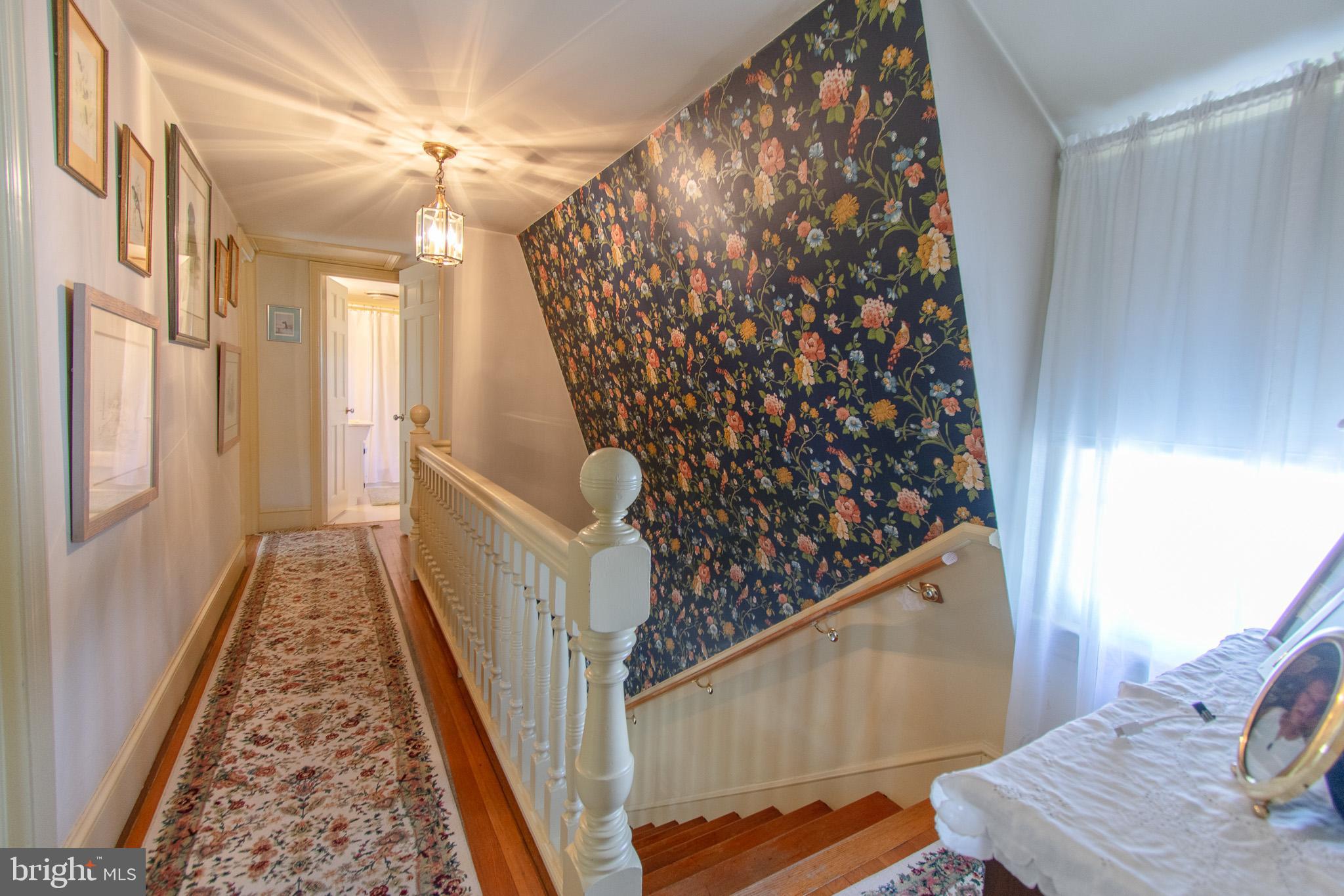 719 Elizabeth St