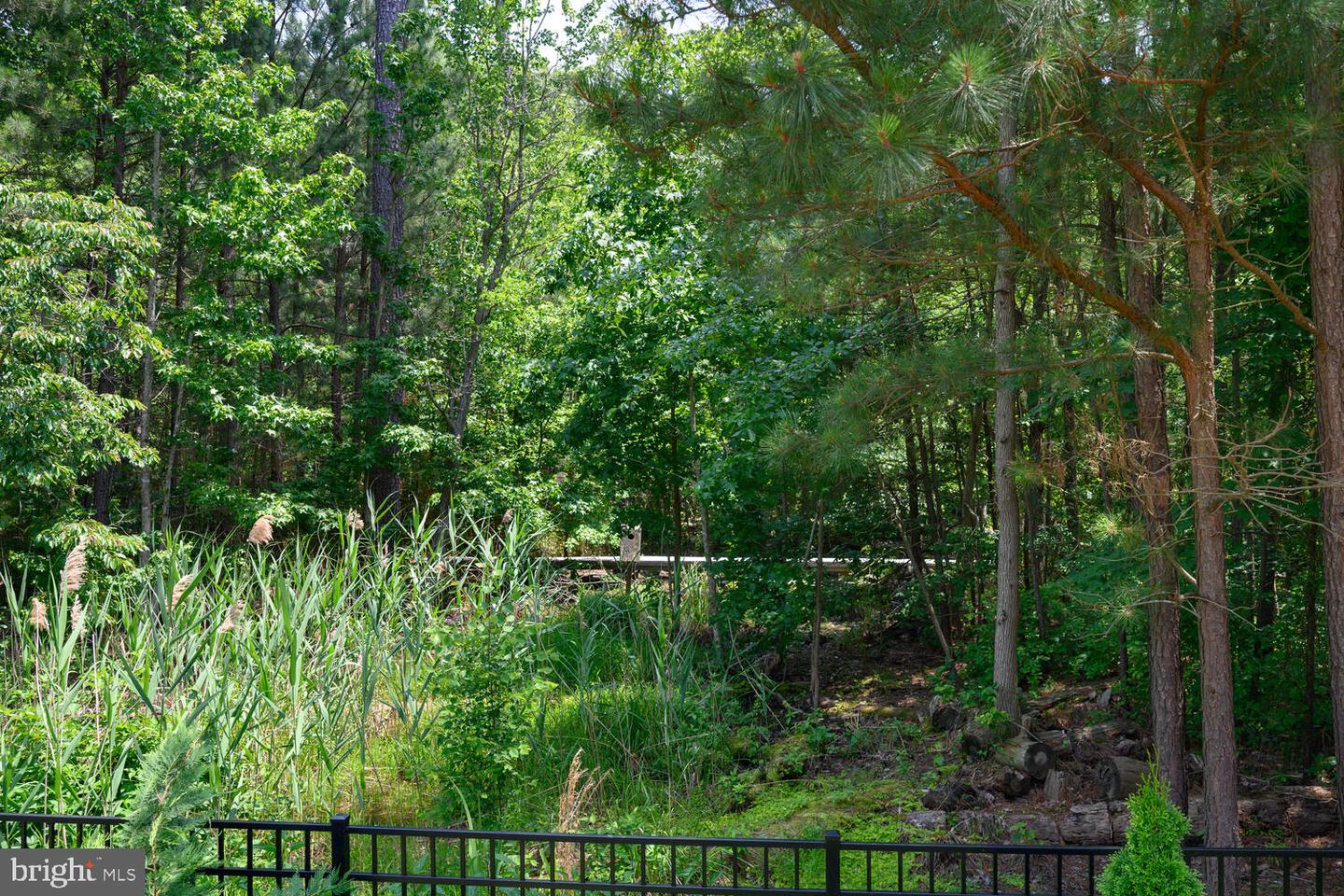 24977 Back Creek Dr