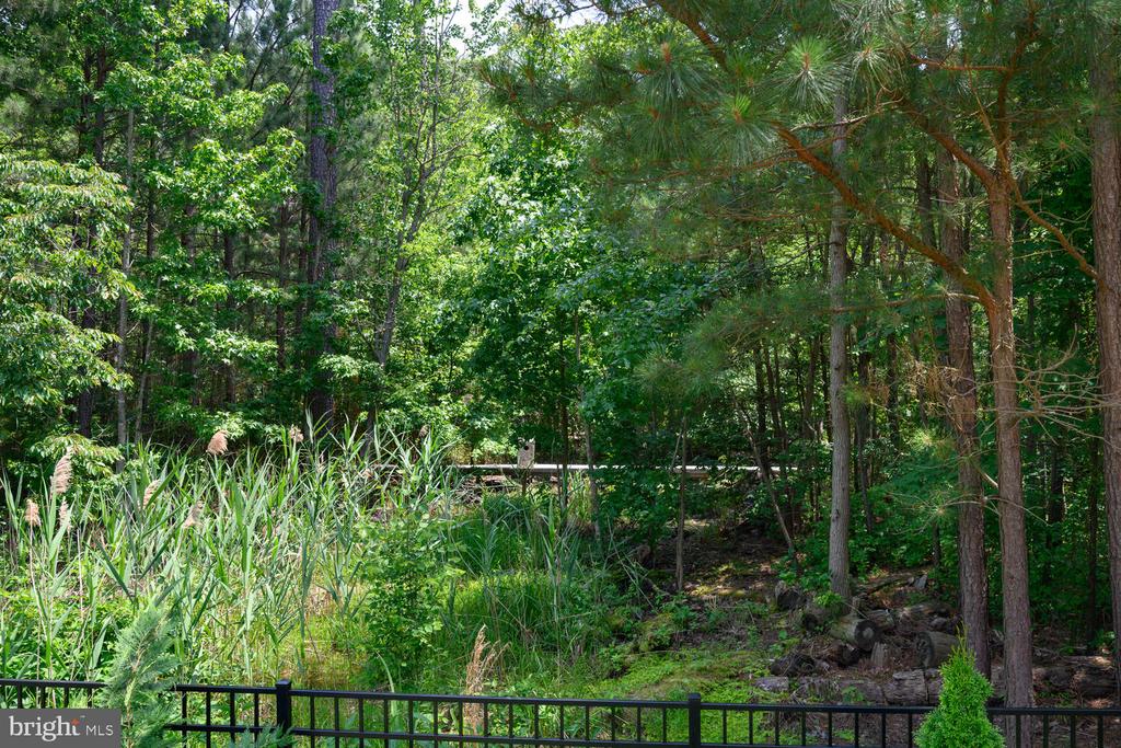 24977 Back Creek Dr
