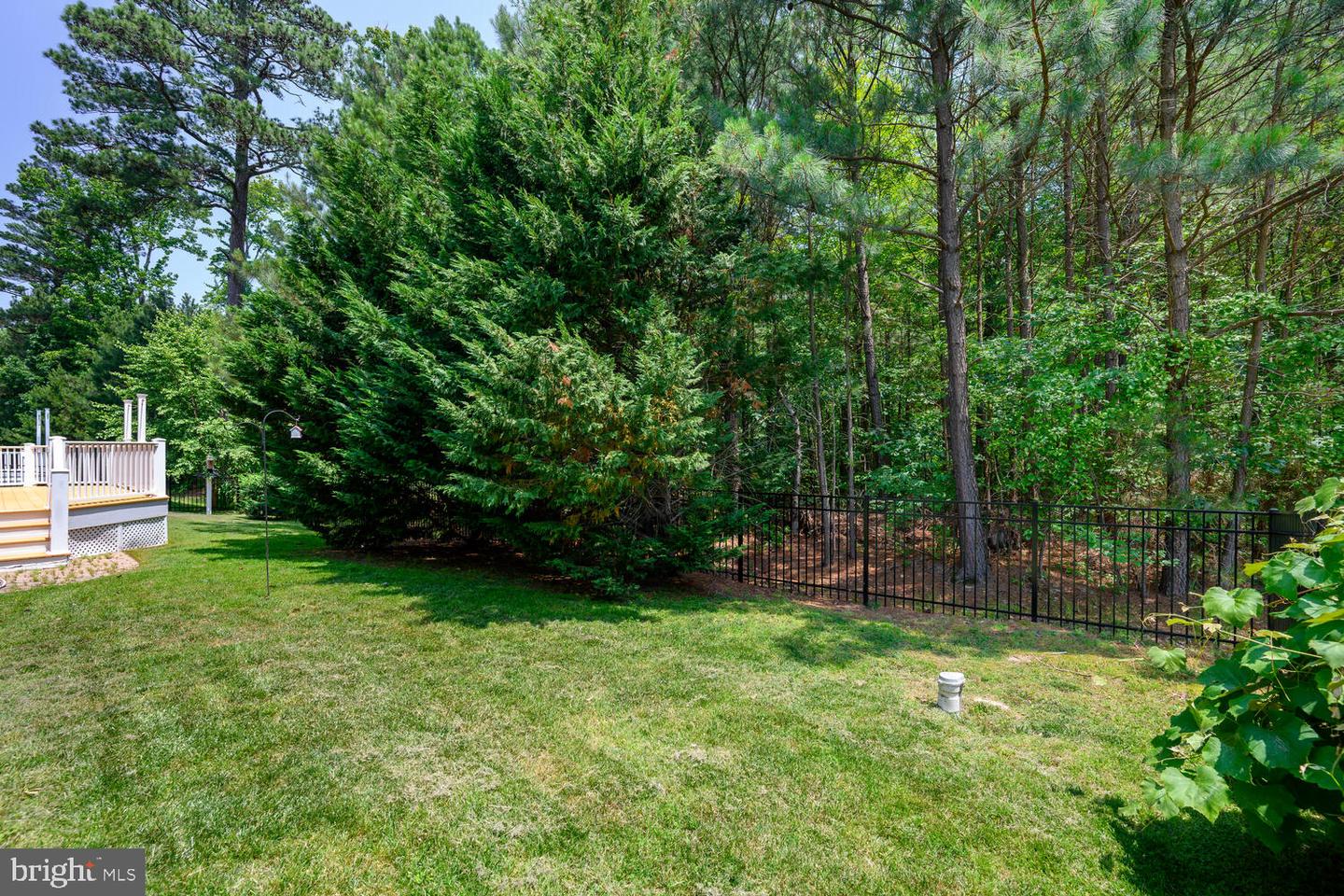 24977 Back Creek Dr