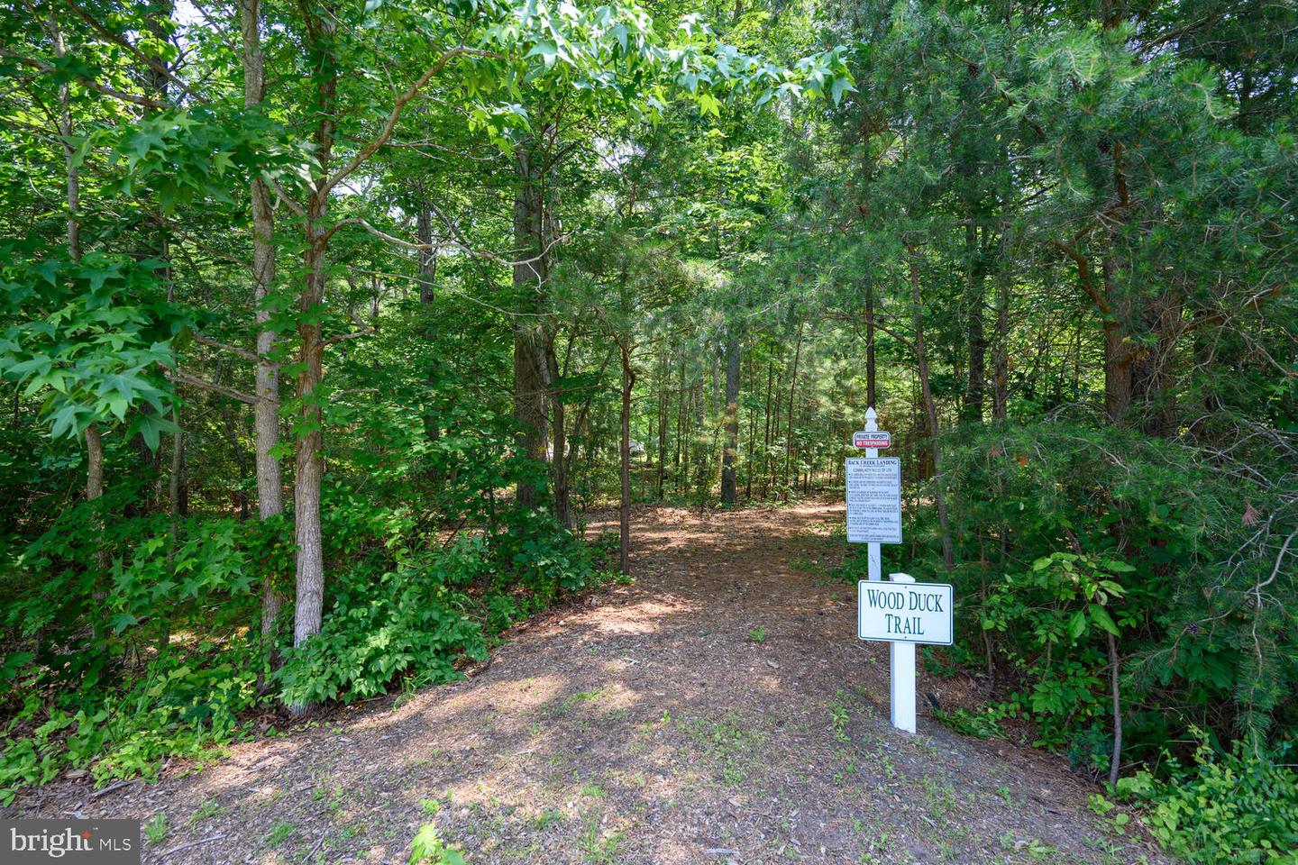 24977 Back Creek Dr
