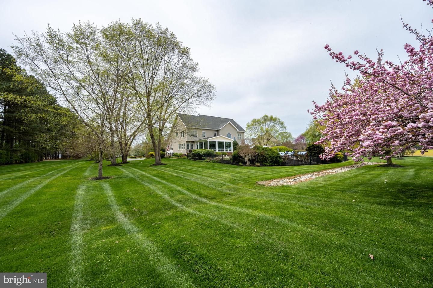 13543 Rustling Oaks Dr