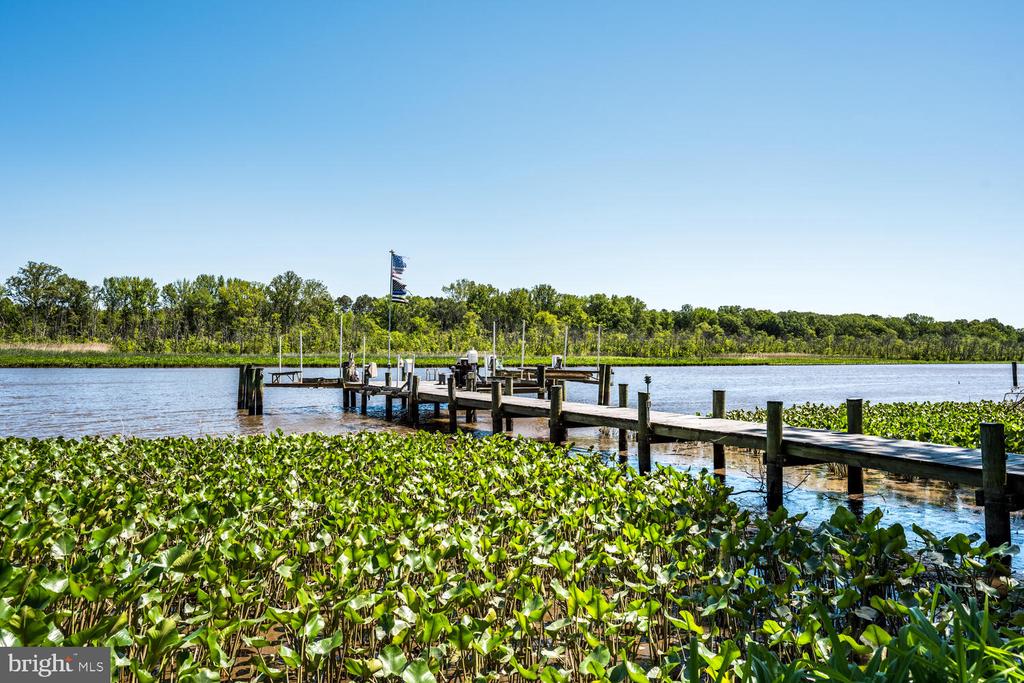 33438 Tuckahoe River Rd