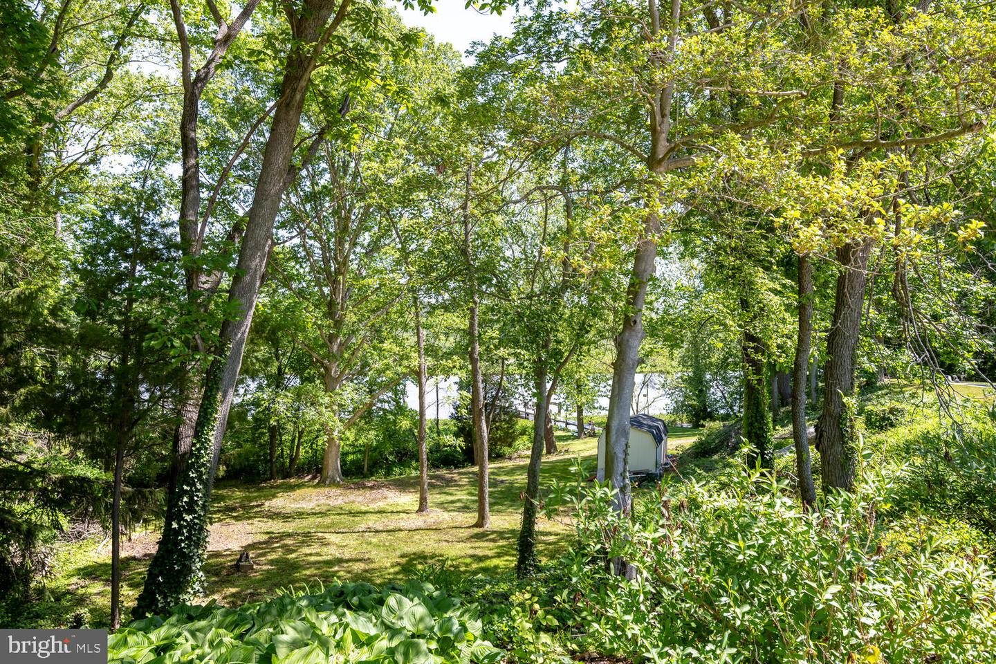 33438 Tuckahoe River Rd
