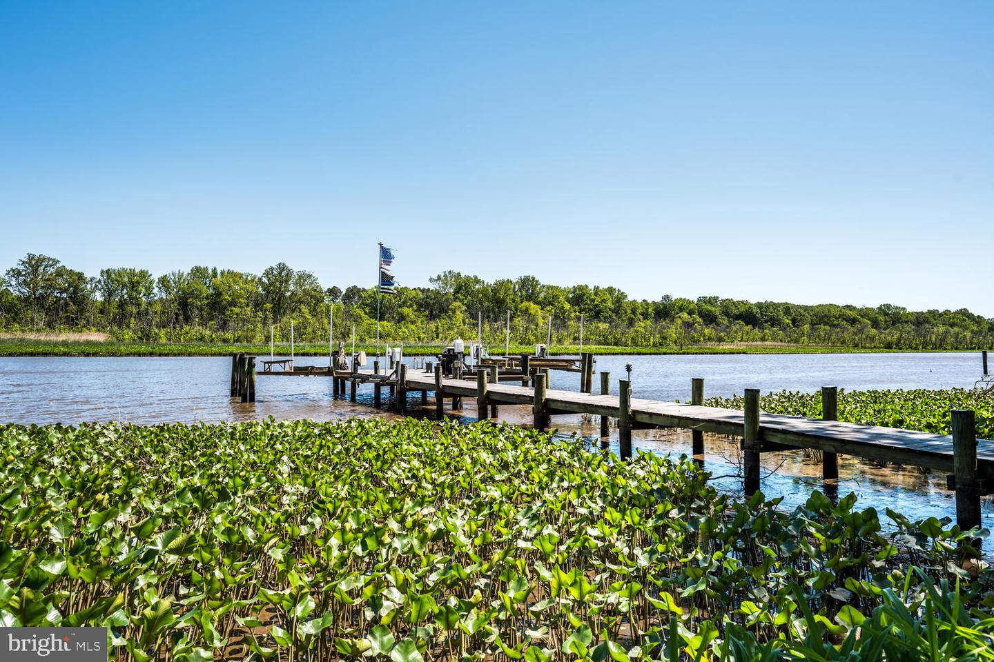 33438 Tuckahoe River Rd