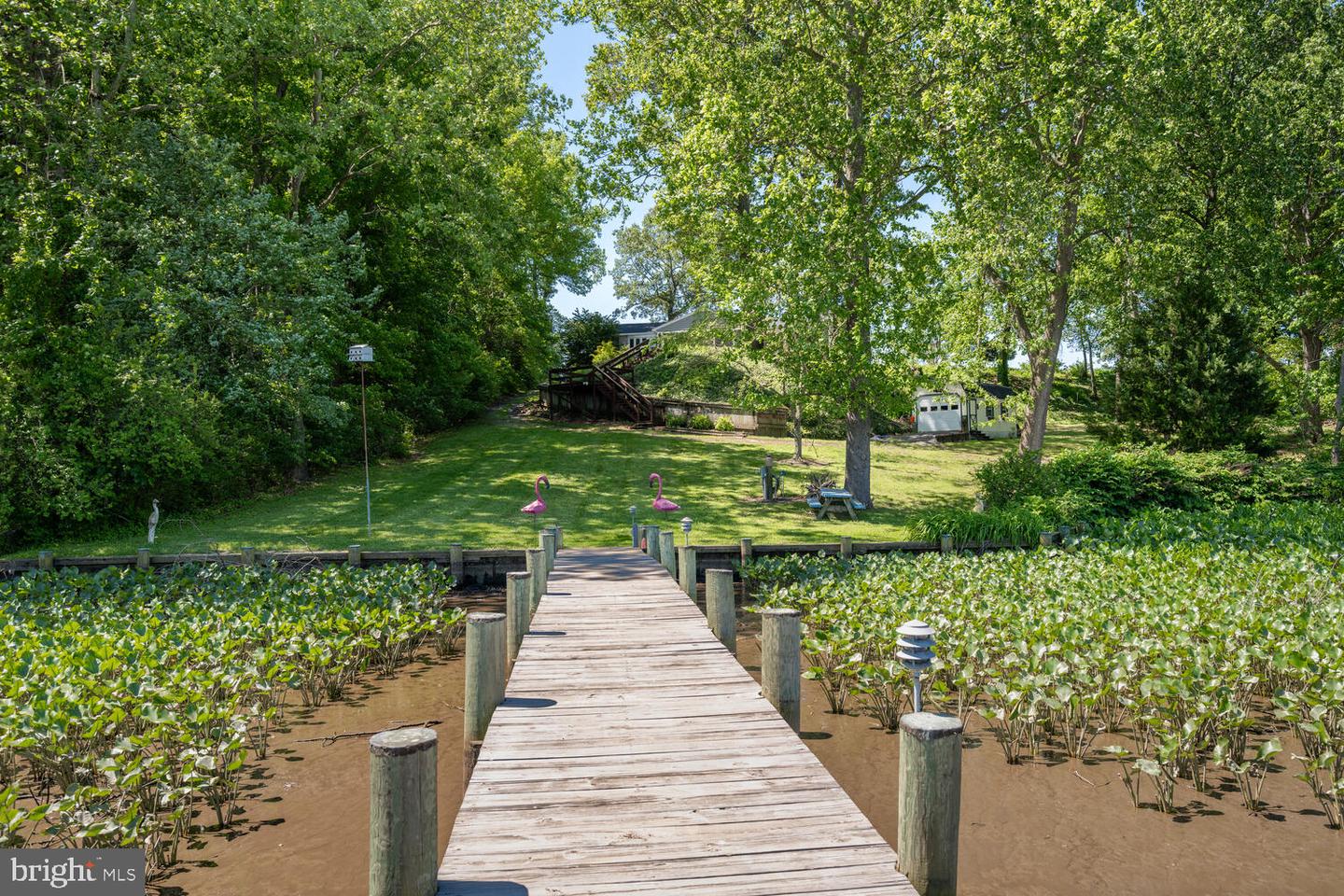 33438 Tuckahoe River Rd