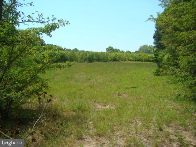 Black Duck Drive Dr
