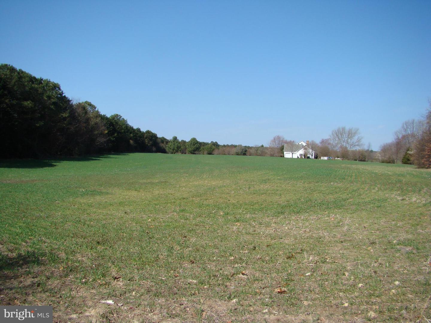 Black Duck Drive Dr