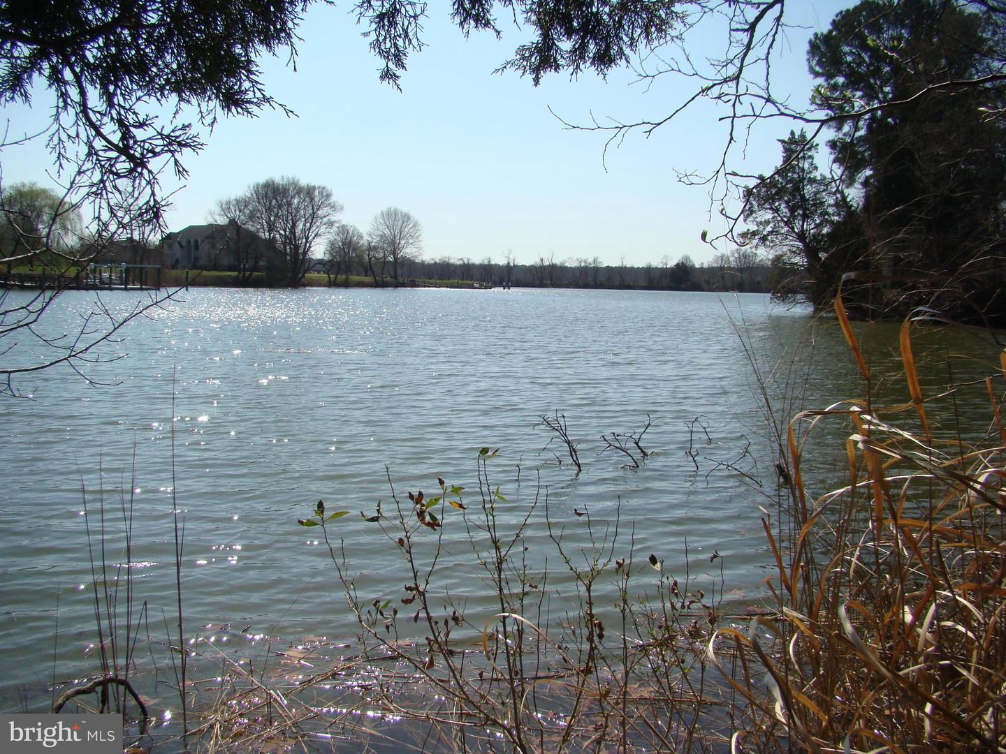Black Duck Drive Dr