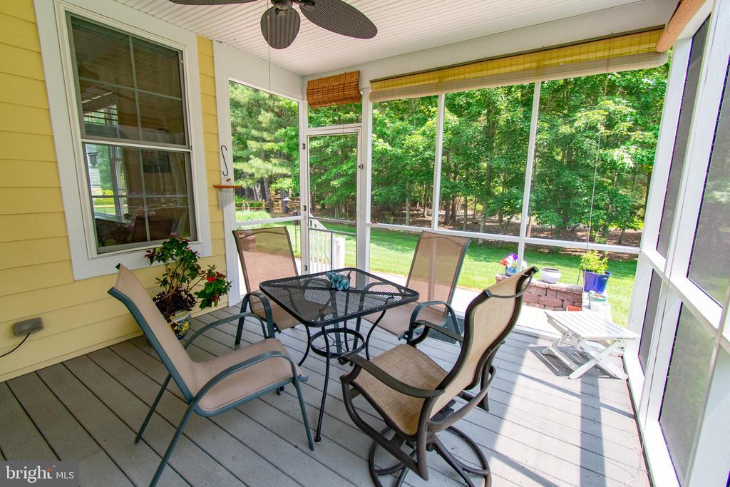 24989 Back Creek