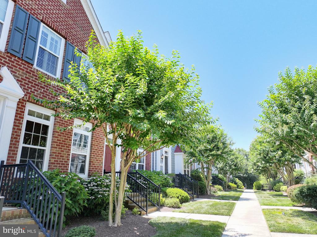 300 Dixon St #406