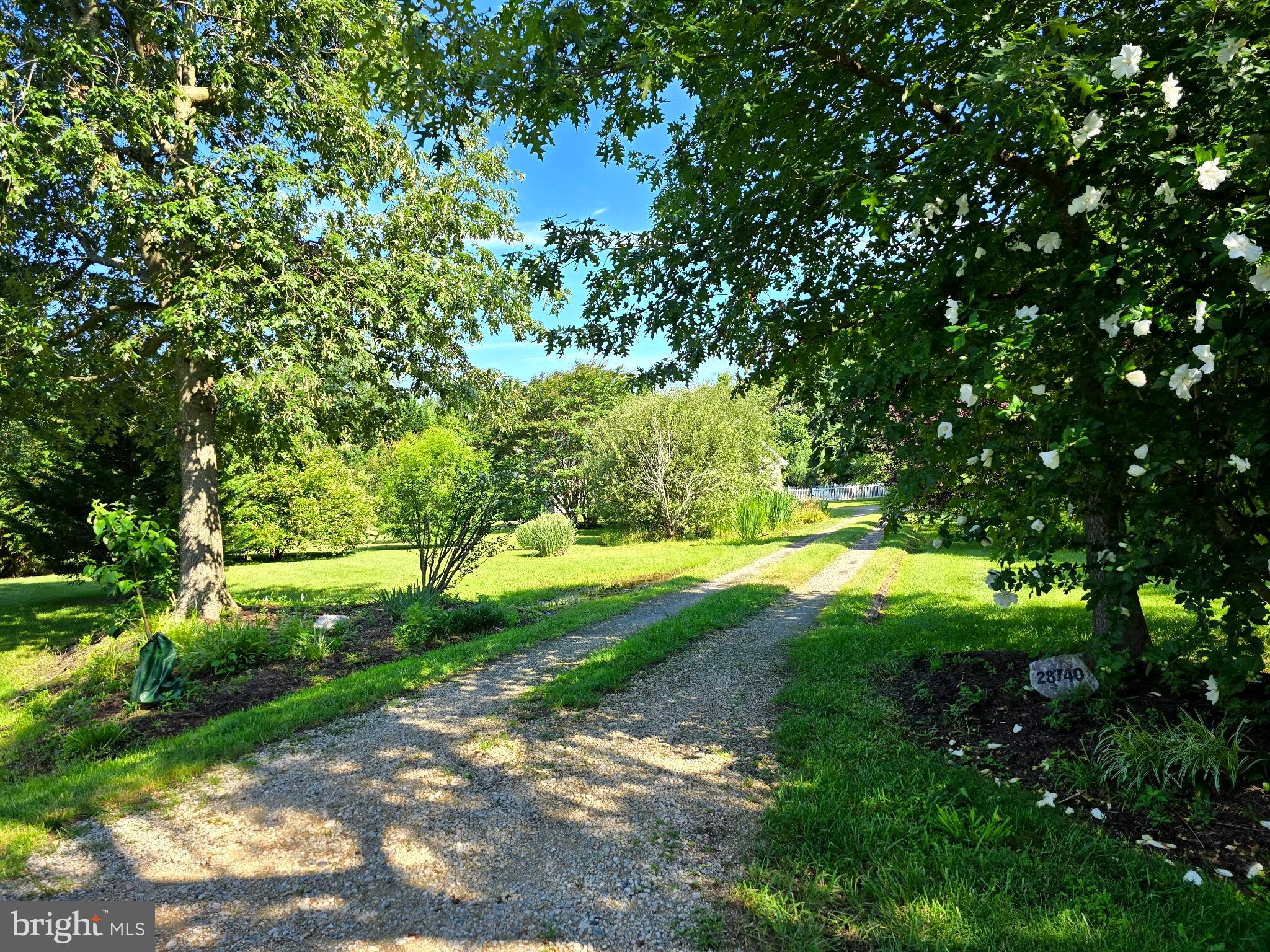 28740 JACKS FIELD ROAD