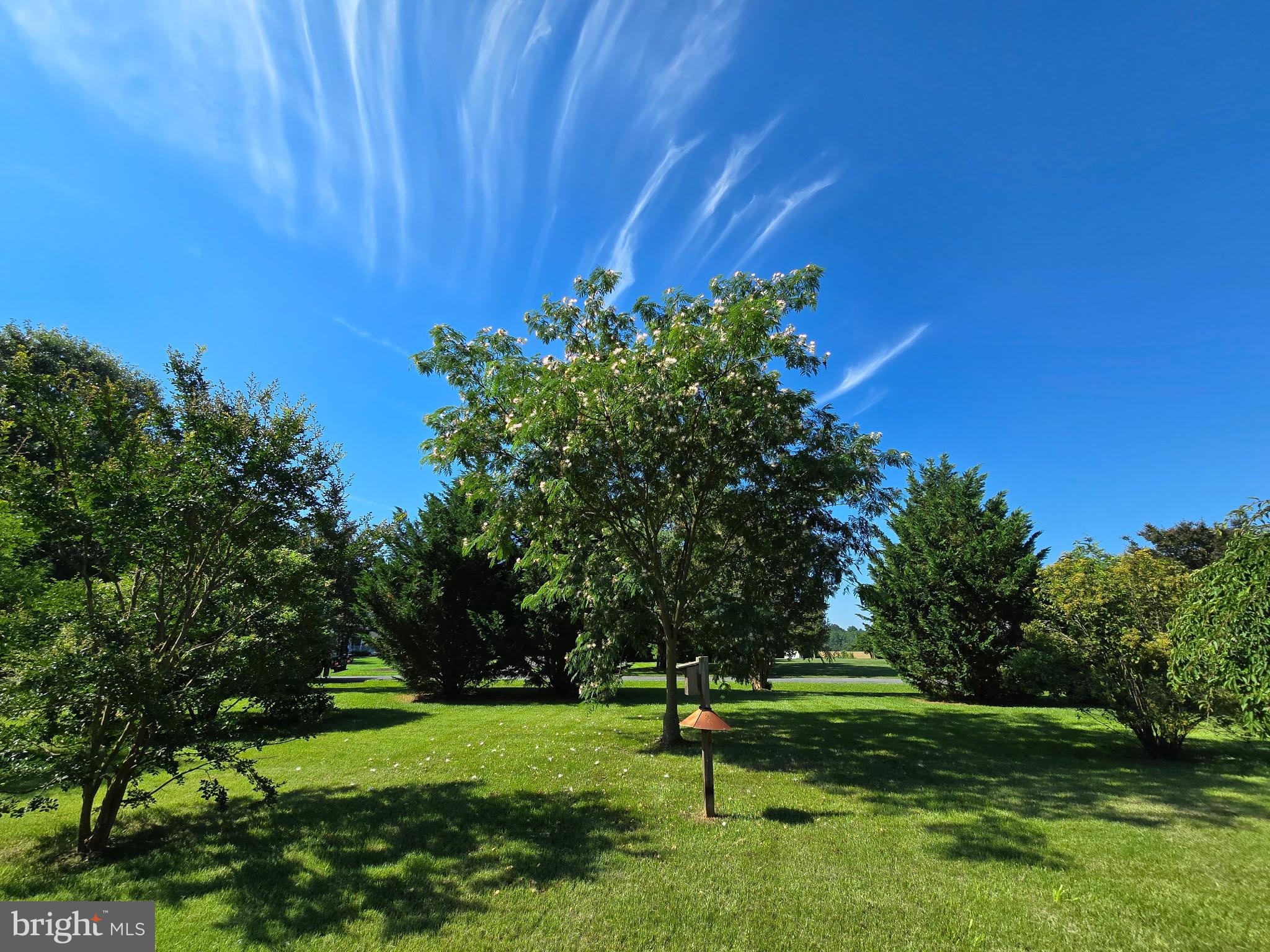 28740 JACKS FIELD ROAD