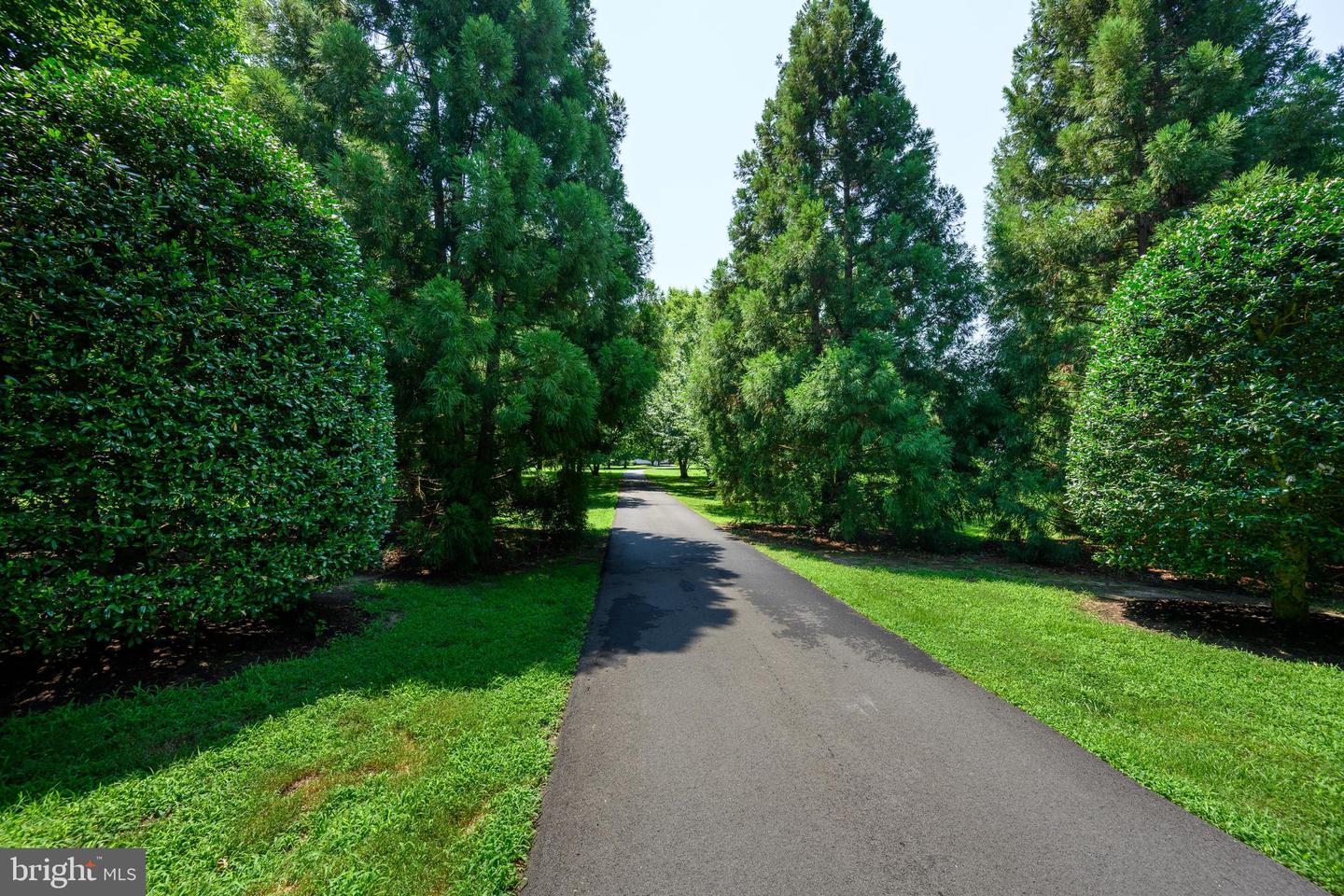 6561 Baileys Pond Rd