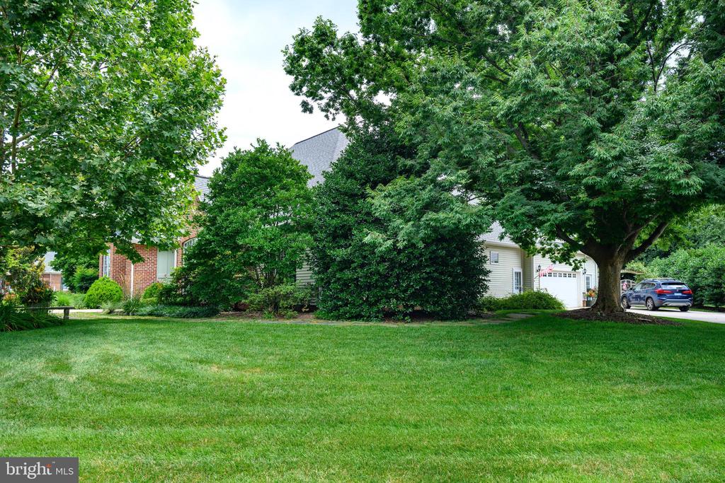 6 Papermill St