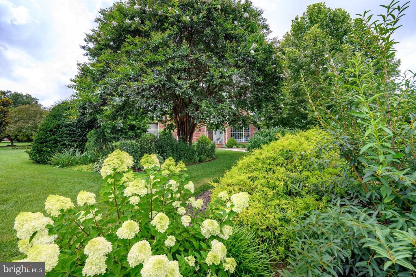 6 Papermill St