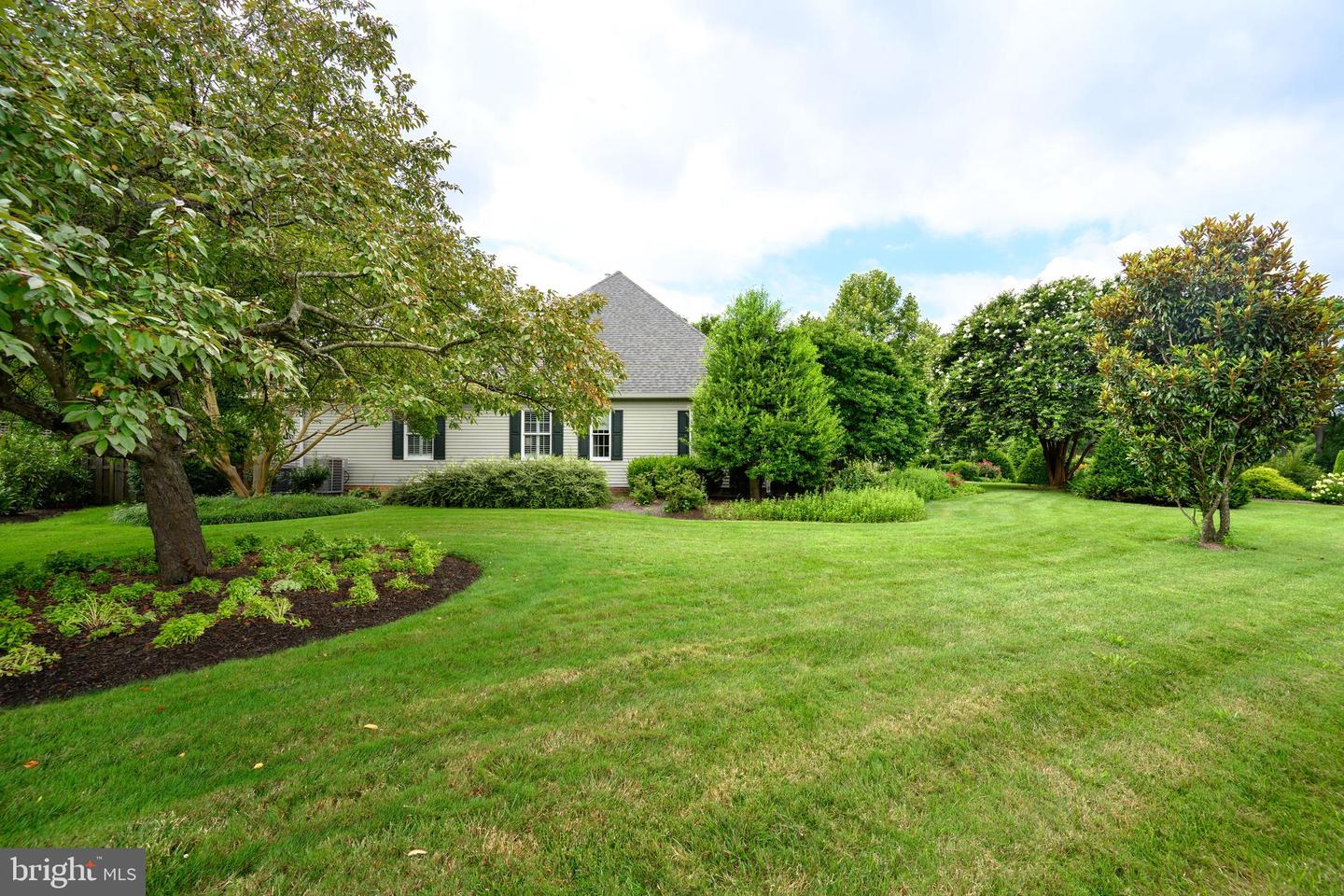 6 Papermill St