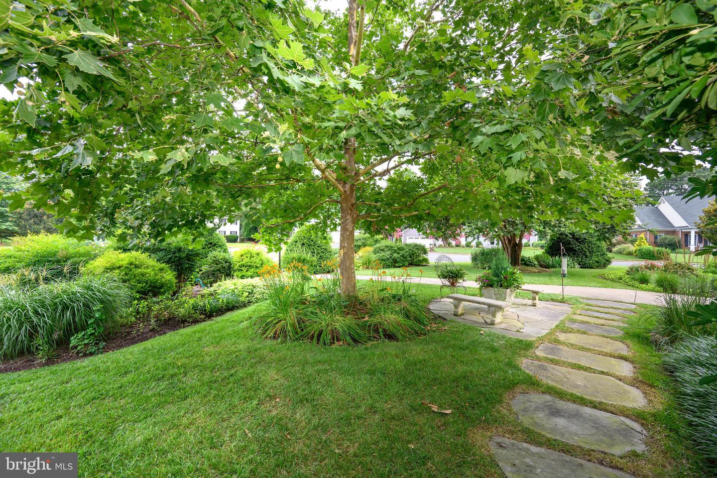 6 Papermill St
