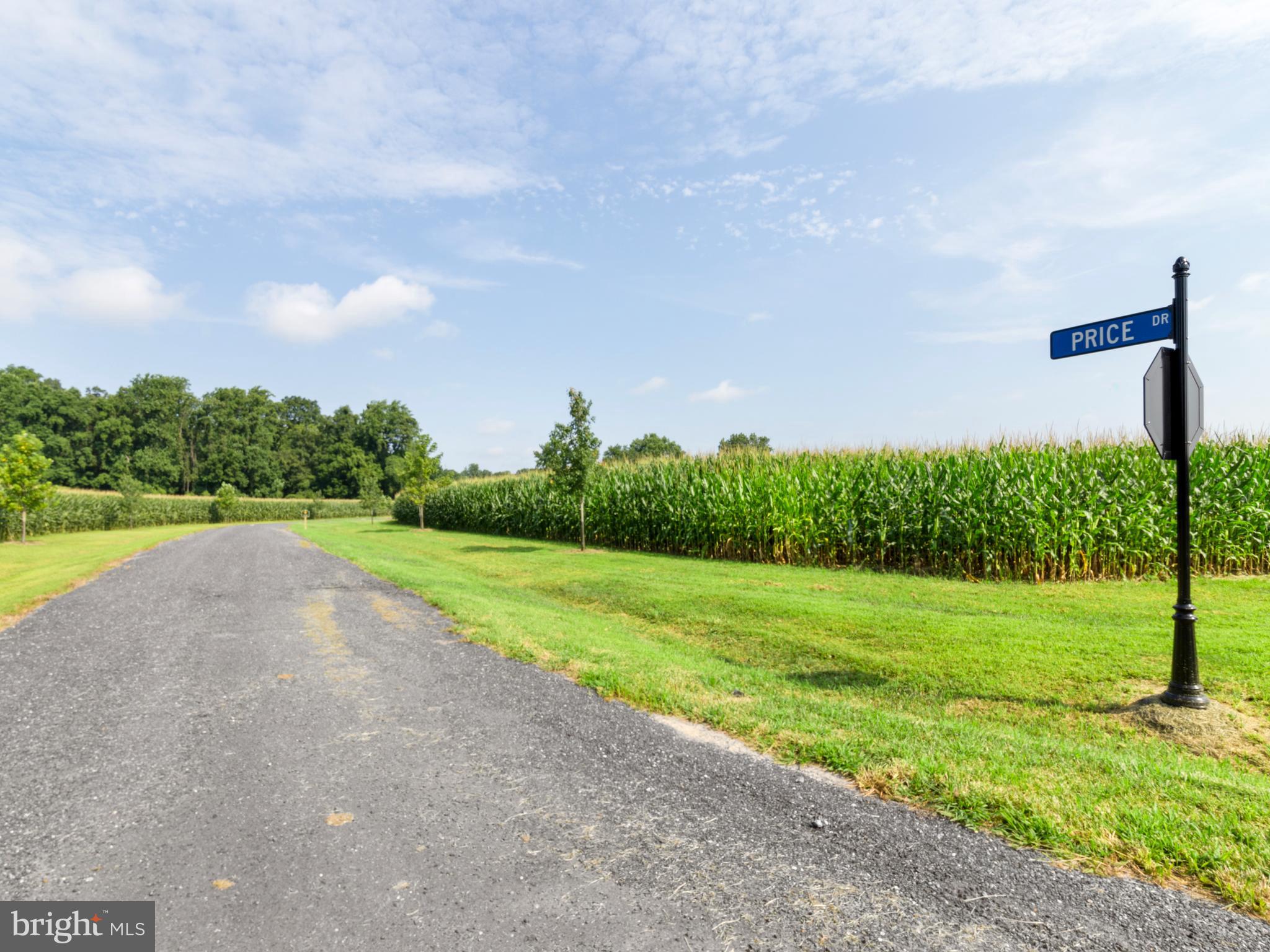 Lot 12 Price Dr