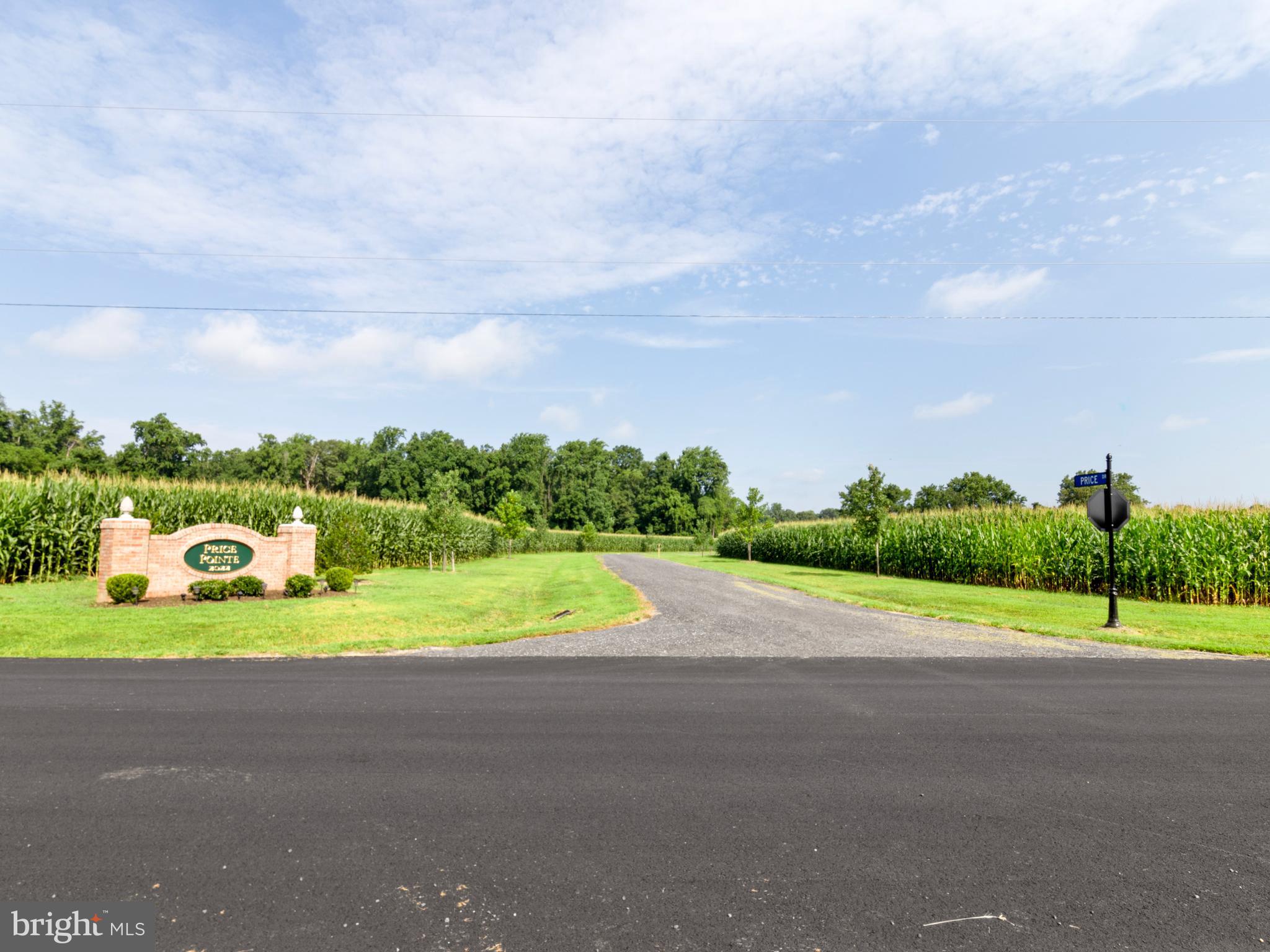 Lot 14 Price Dr