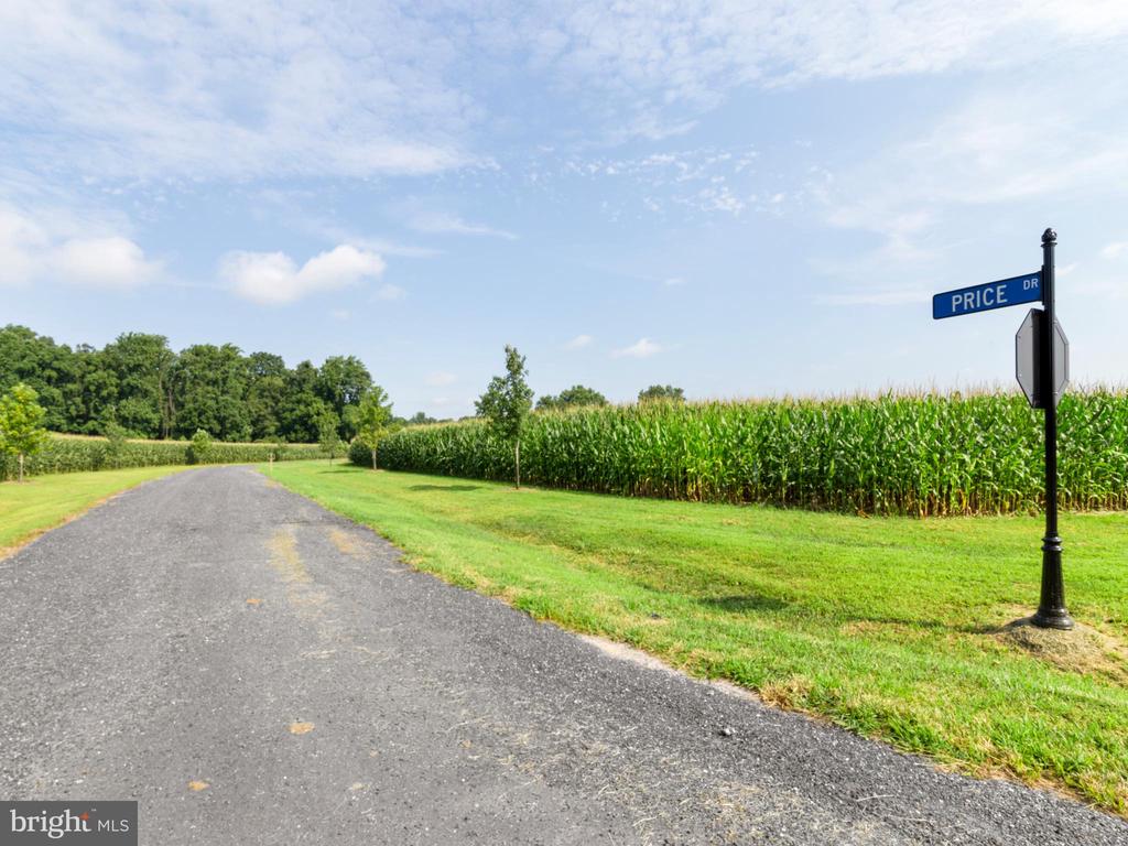 Lot 14 Price Dr