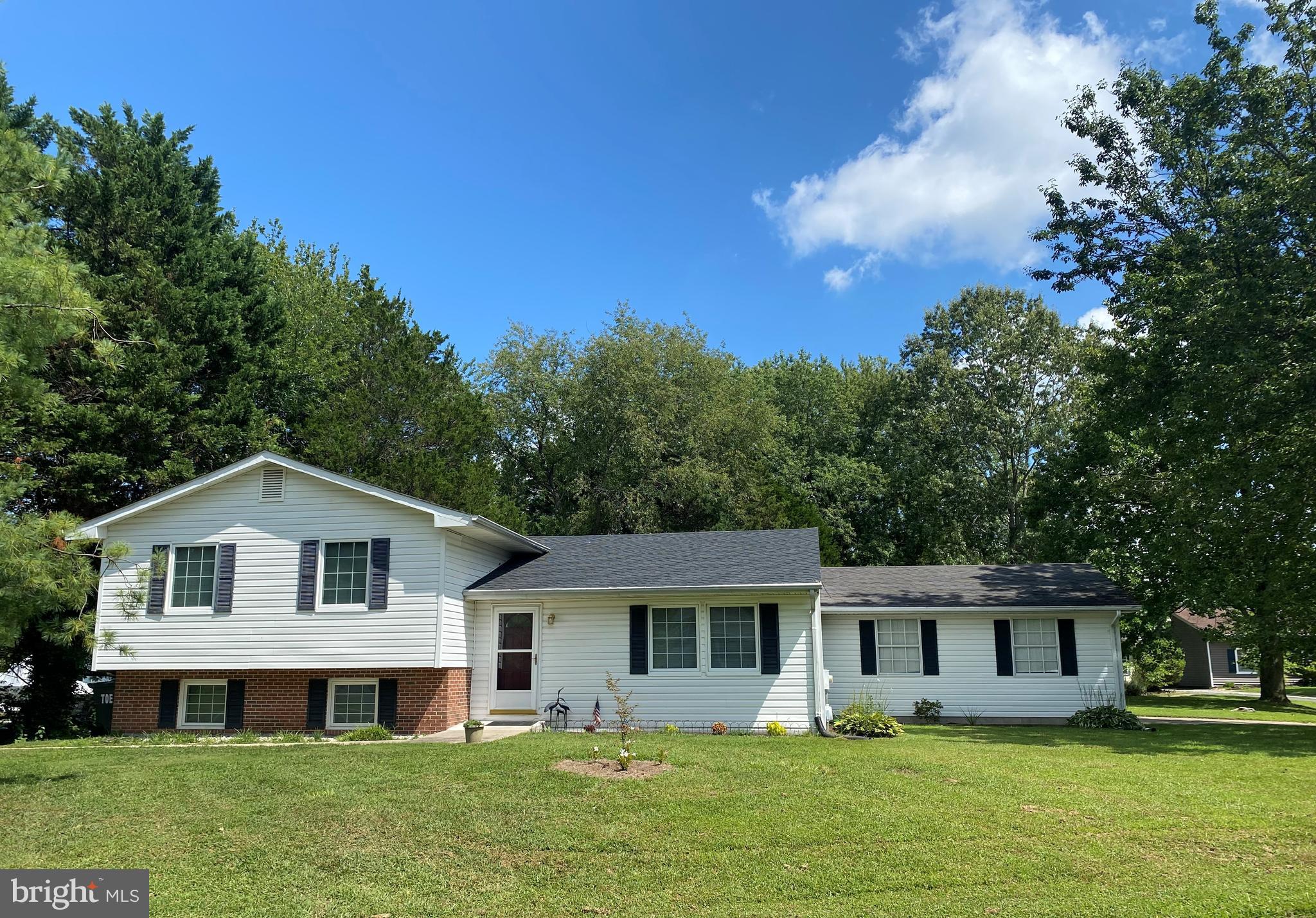 7347 Shirley Dr