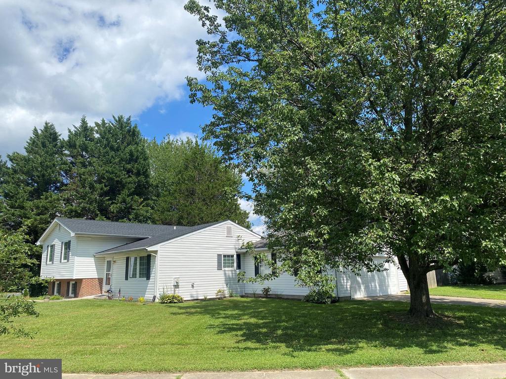 7347 Shirley Dr
