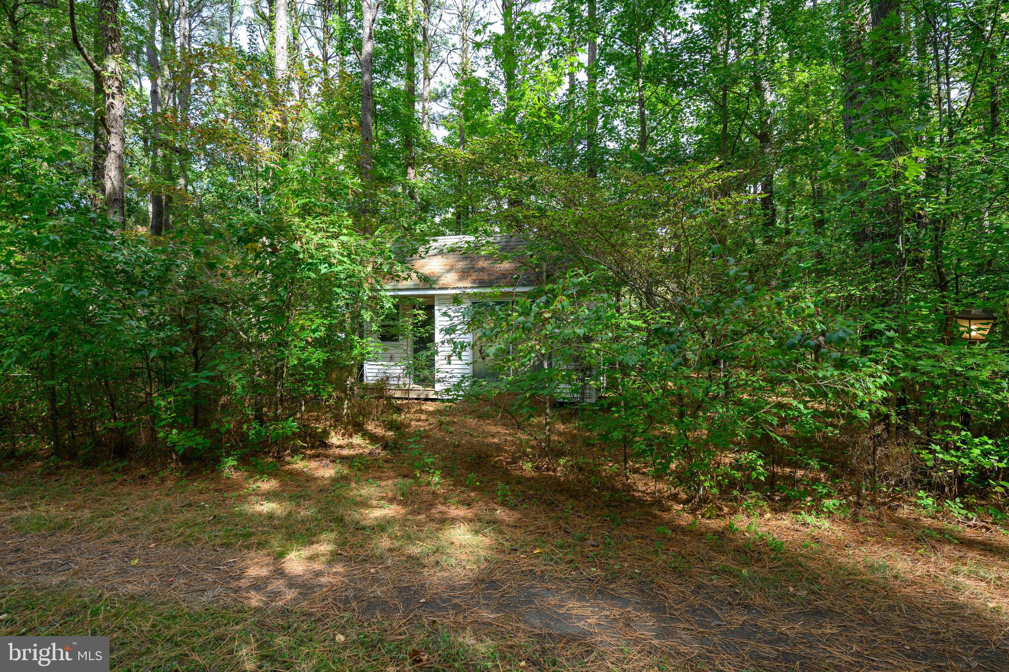 23854 MOUNT MISERY ROAD
