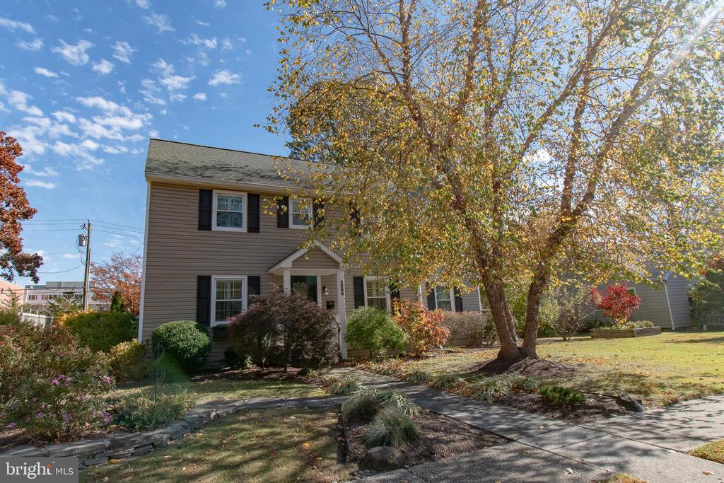 224 WYE AVENUE