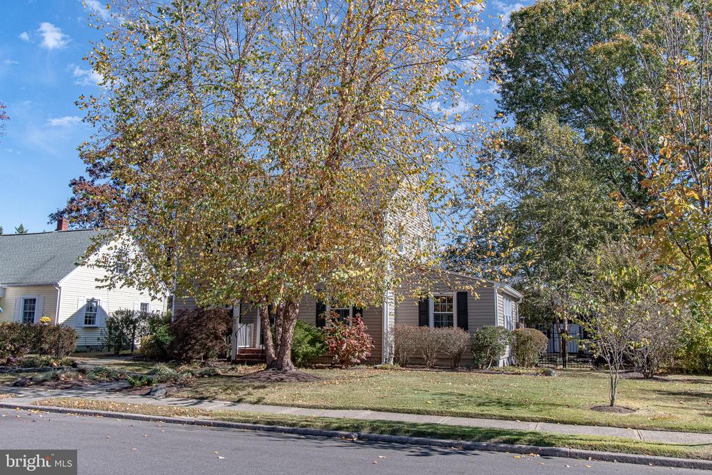 224 WYE AVENUE