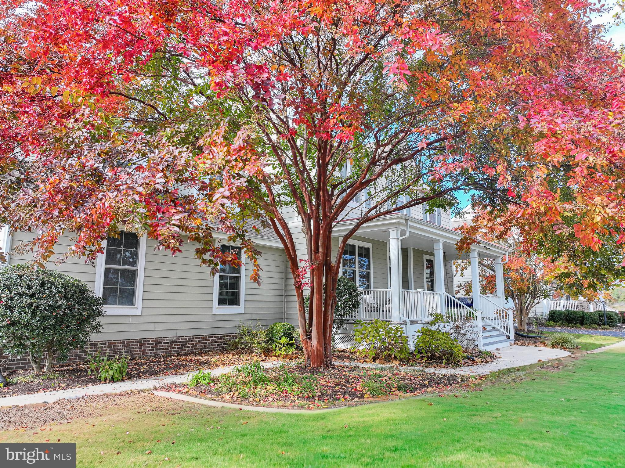 24912 BACK CREEK DRIVE