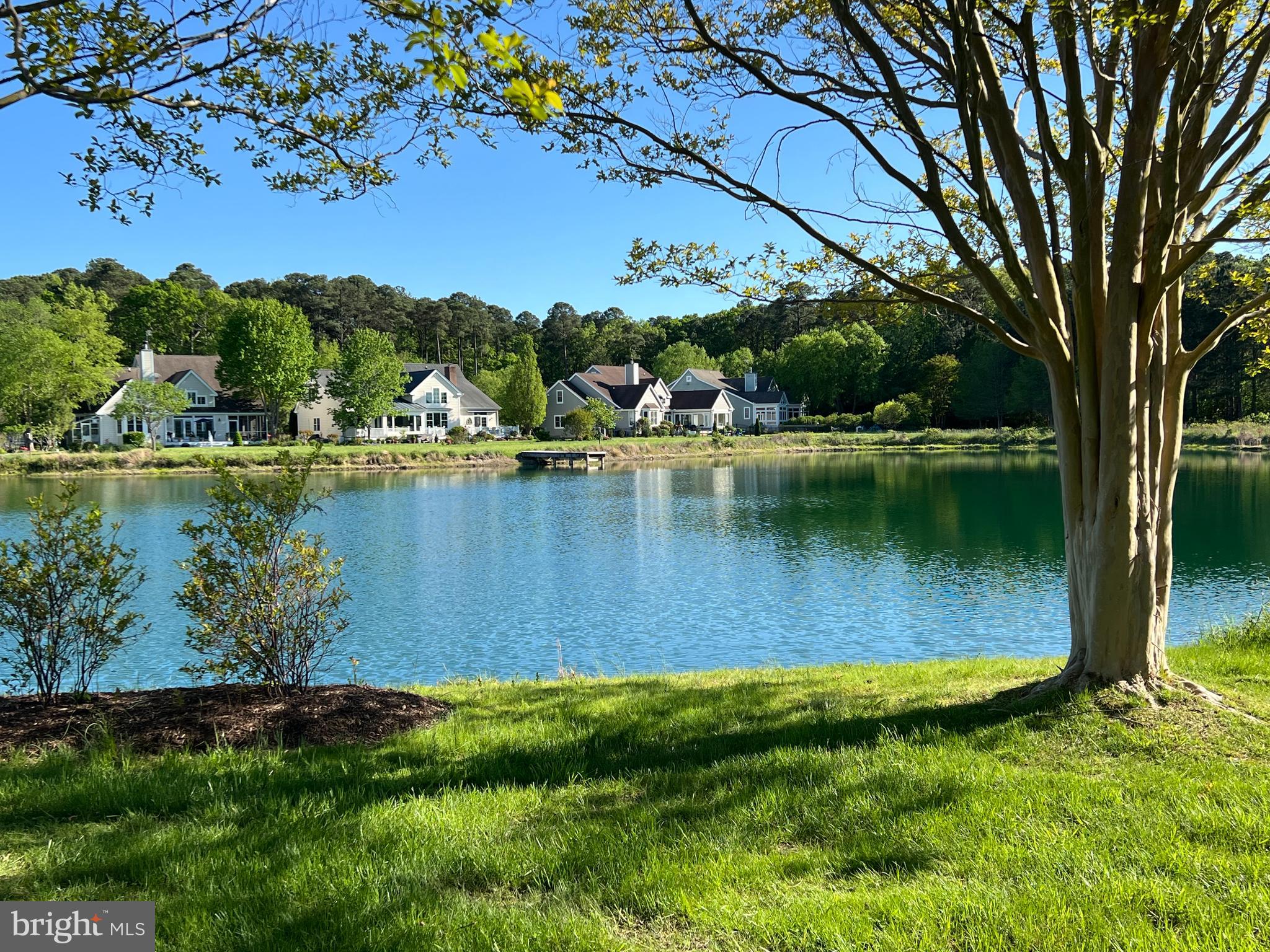 24912 BACK CREEK DRIVE