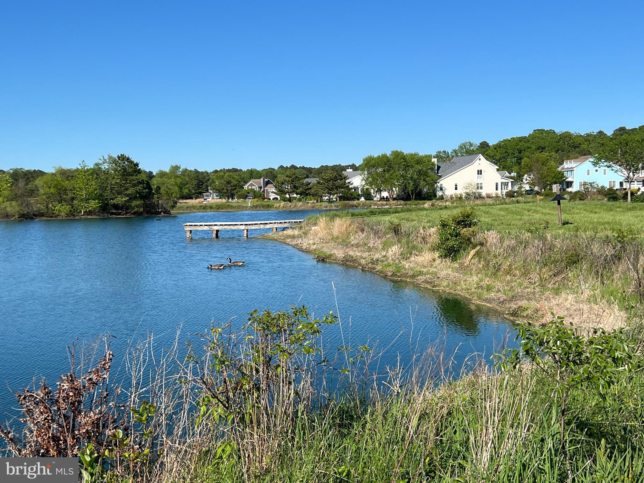 24912 BACK CREEK DRIVE