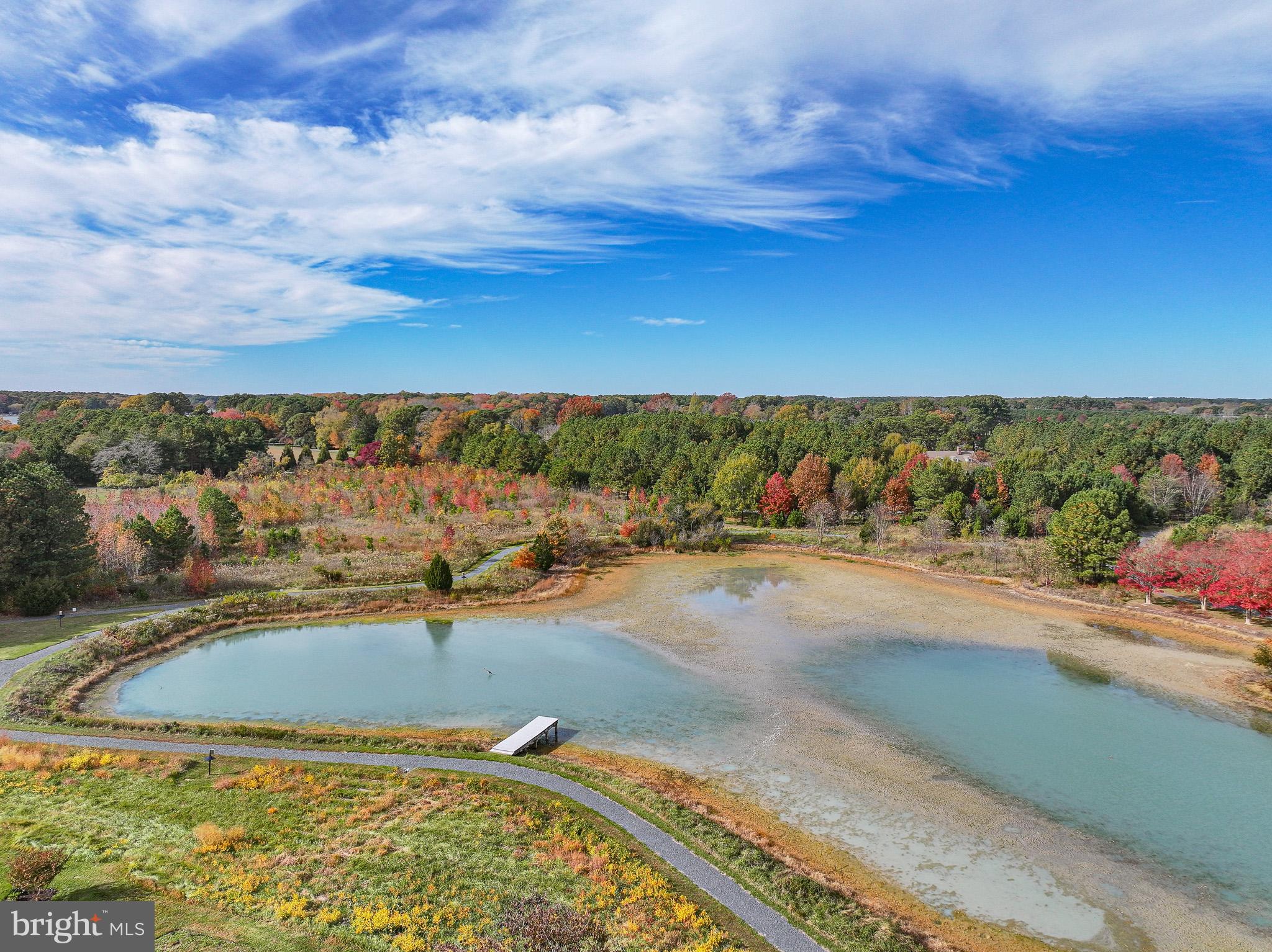 24912 BACK CREEK DRIVE